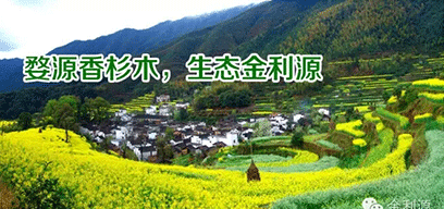 金利源板材/金品質(zhì) 源生態(tài).從源頭精挑細(xì)選，為品質(zhì)保駕護(hù)航——中國(guó)板材十大品牌品質(zhì)篇